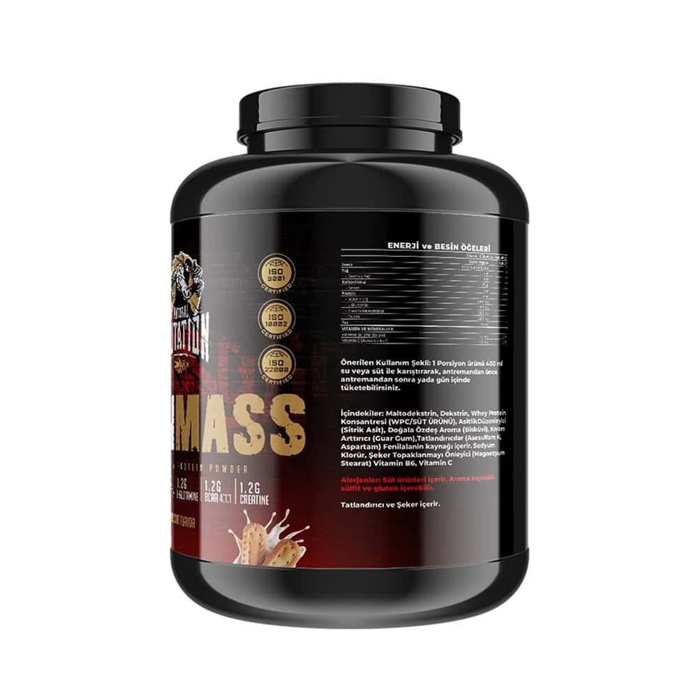 Mass Gainer